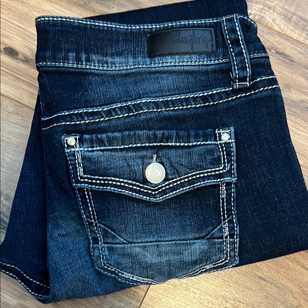 Daytrip Women's Dark Blue Jeans size 32 Virgo Ankle Skinny